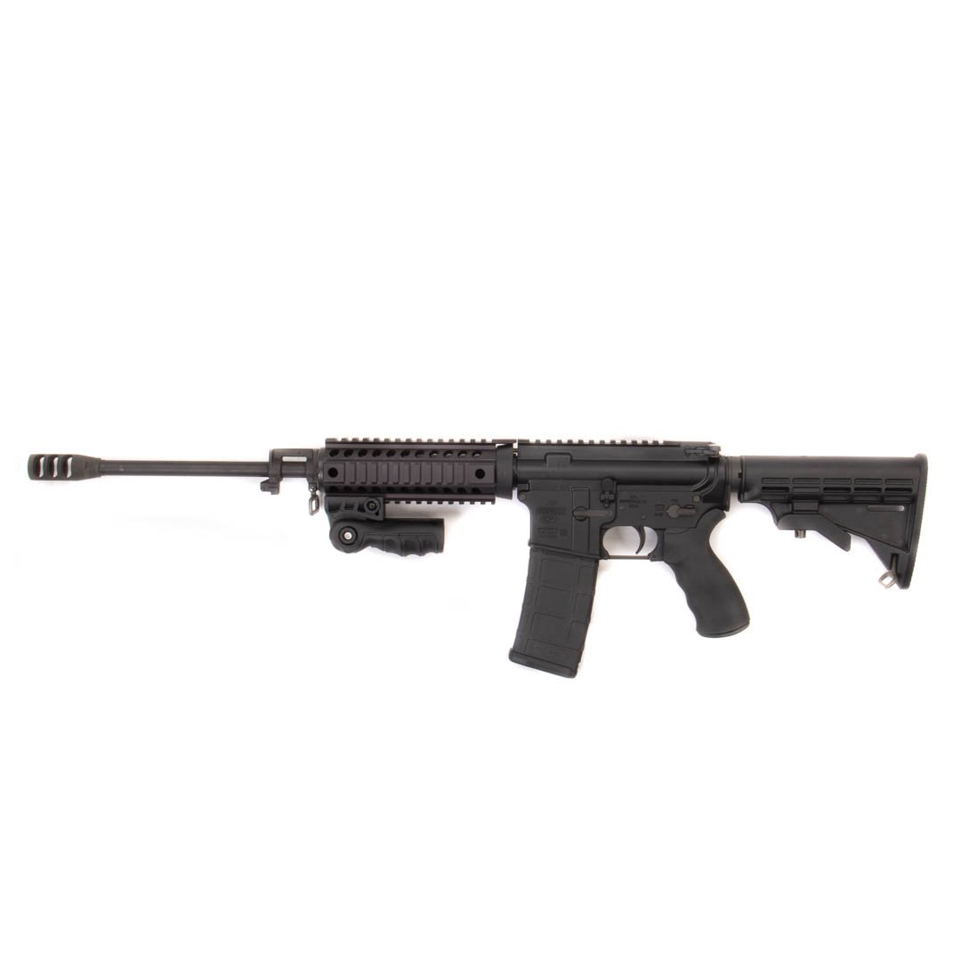 ECOM00399050 BUSHMASTER Xm15-e2s ECOM00399050 481860